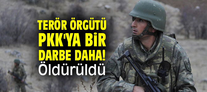 Terör örgütü PKK'ya bir darbe daha! Öldürüldü