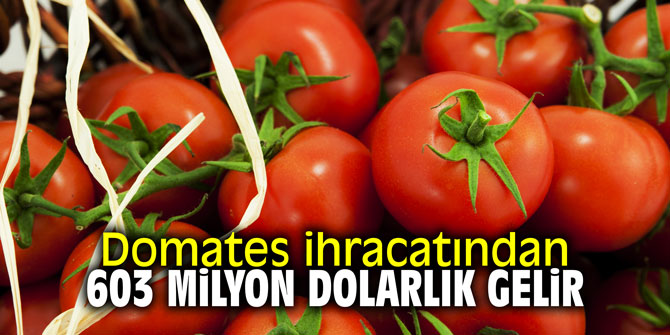 Domates ihracatından 603 milyon dolarlık gelir