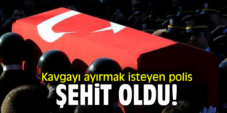 Kavgayı ayırmak isteyen polis şehit oldu
