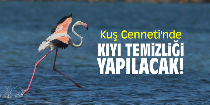 Kuş Cenneti'nde kıyı temizliği yapılacak