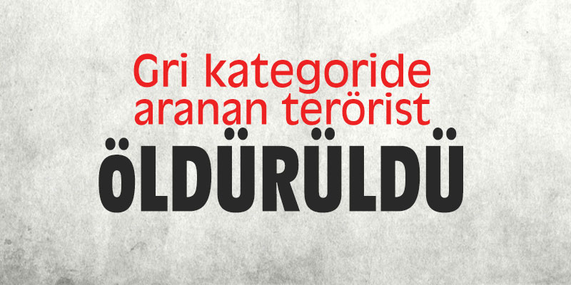Gri kategoride aranan terörist öldürüldü!