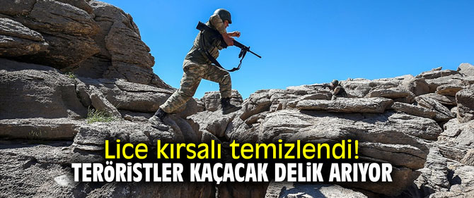 Lice kırsalı temizlendi! Teröristler kaçacak delik arıyor