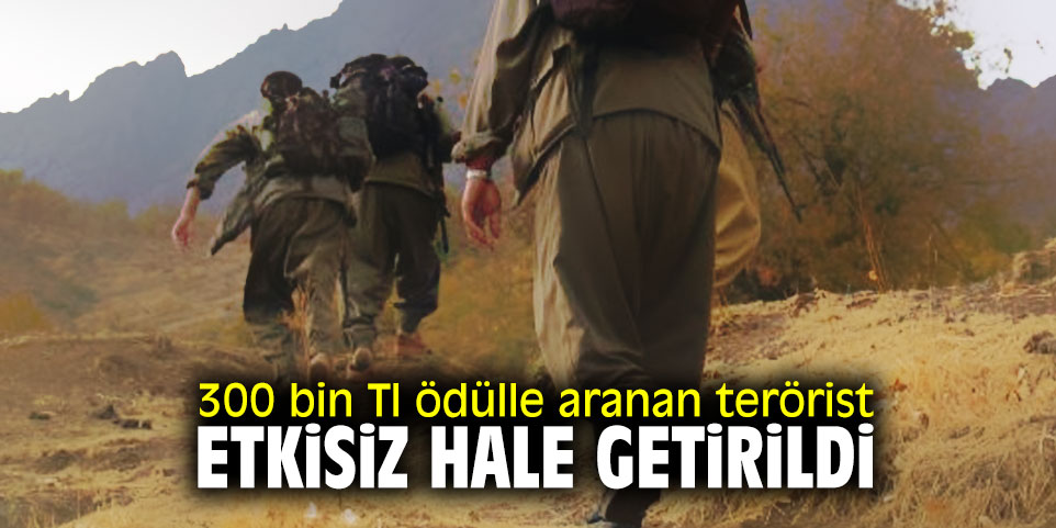 300 bin TL ödülle aranan terörist etkisiz hale getirildi