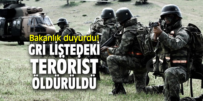 Bakanlık duyurdu! Gri listedeki terörist öldürüldü