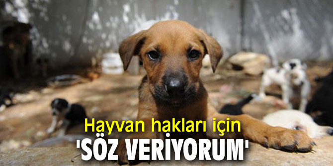 Hayvan hakları için 'Söz veriyorum'