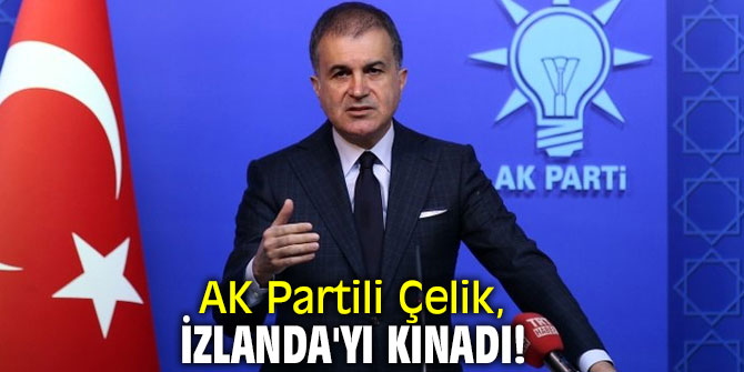 AK Partili Çelik, İzlanda'yı kınadı!