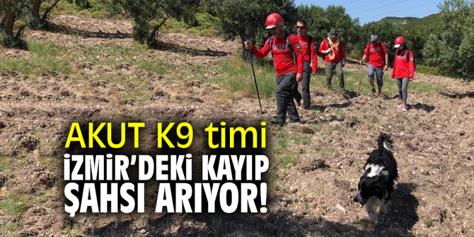 AKUT K9 timi İzmir'deki kayıp şahsı arıyor