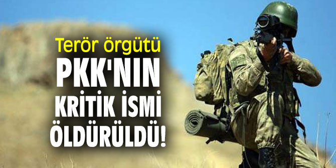 Terör örgütü PKK'nın kritik ismi öldürüldü!