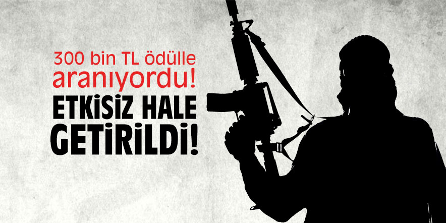 300 bin TL ödülle aranıyordu; etkisiz hale getirildi!