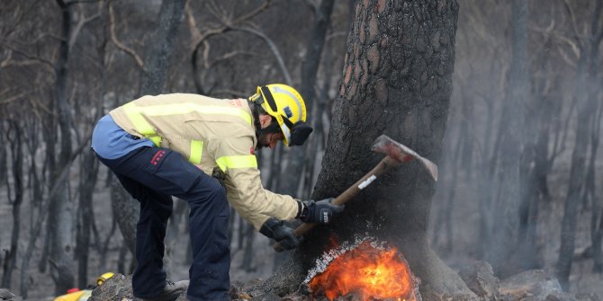  220 hektar orman kül oldu!