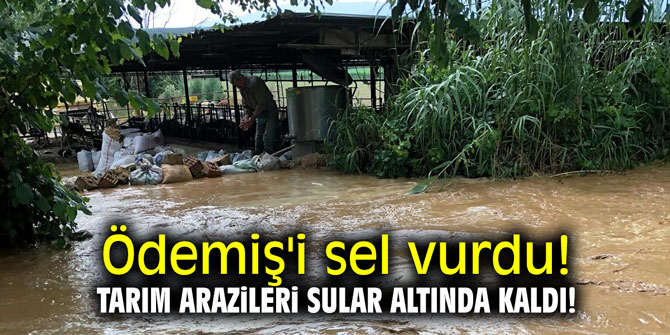 Ödemiş'i sel vurdu! Tarım arazileri sular altında kaldı!