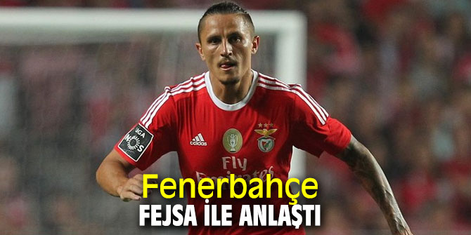 Fenerbahçe, Ljubomir Fejsa ile anlaştı