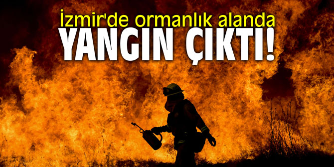 İzmir'de ormanlık alanda yangın paniği!
