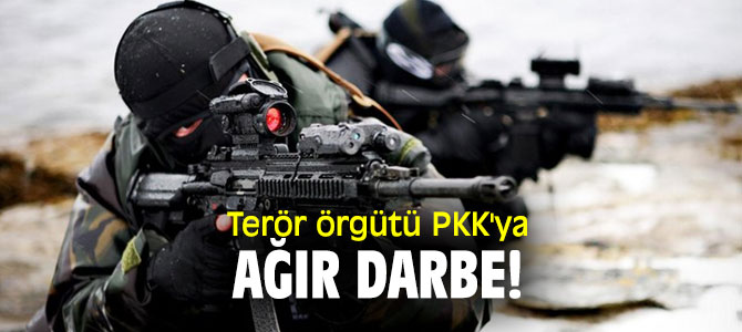 Terör örgütü PKK'ya ağır darbe!
