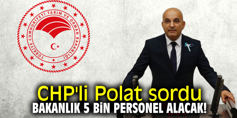 CHP'li Polat sordu; Bakanlık 5 bin personel alacak