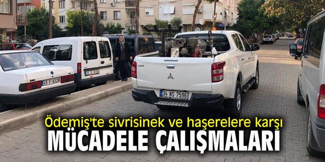 Ödemiş'te sivrisinek ve haşerelere karşı mücadele çalışmaları