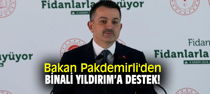 Bakan Pakdemirli'den Binali Yıldırım’a destek!