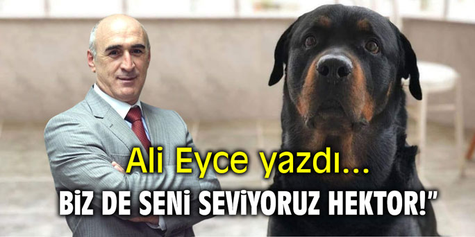 Biz de seni seviyoruz Hektor!