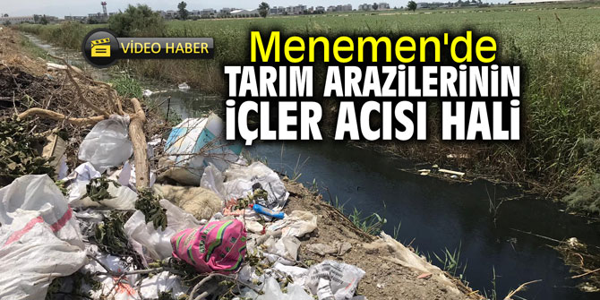 Menemen'de tarım arazilerinin içler acısı hali