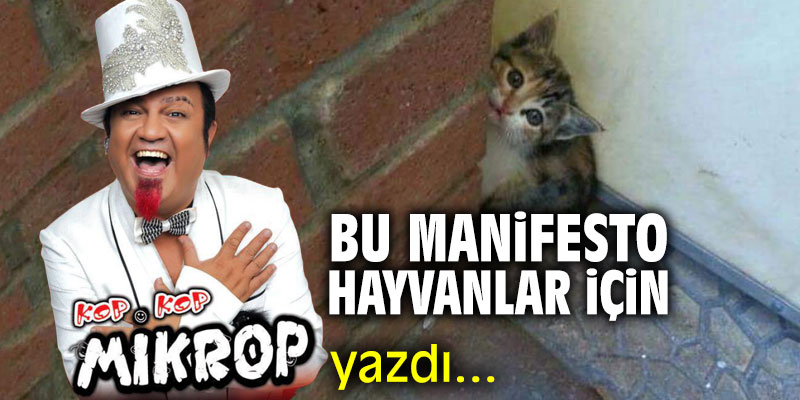 "Bu manifesto hayvanlar için" Mikrop Hikmet yazdı...