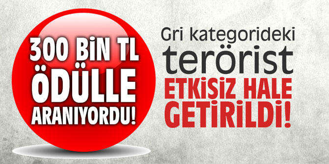 300 TL ödülle aranan gri kategorideki terörist etkisiz hale getirildi!
