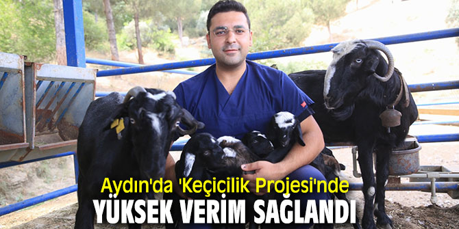 Aydın'da 'Keçicilik Projesi'nde yüksek verim sağlandı