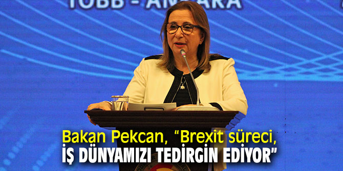 Bakan Pekcan, “Brexit süreci, iş dünyamızı tedirgin ediyor” 
