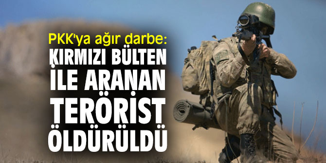 Terör örgütü PKK'ya ağır darbe: Kırmızı bülten ile aranan terörist öldürüldü