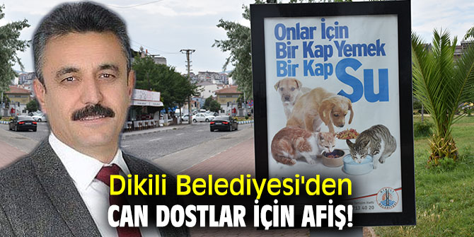 Dikili Belediyesi'den can dostlar için afiş!