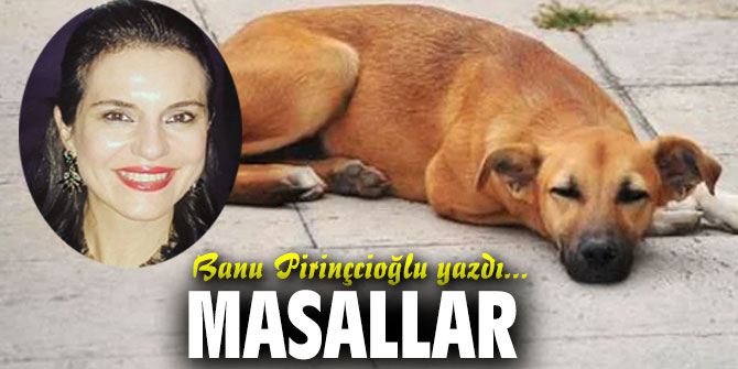 MASALLAR