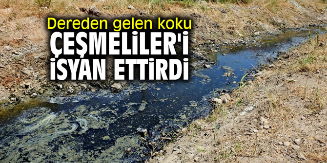 Dereden gelen koku Çeşmeliler'i isyan ettirdi