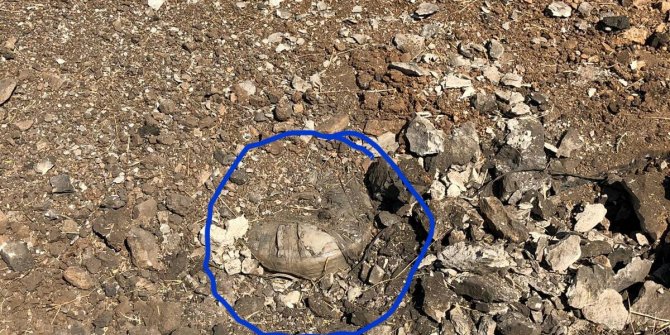 PKK'lı teröristlerin yola tuzakladığı 2 EYP imha edildi