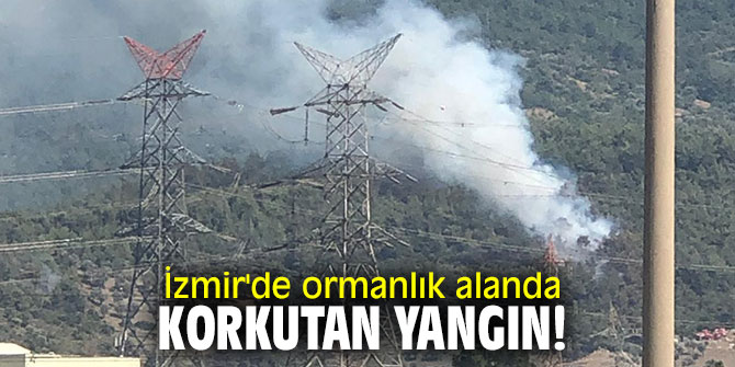 İzmir'de ormanlık alanda korkutan yangın!