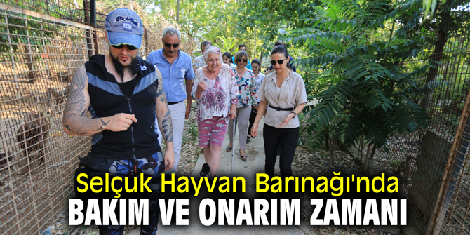 Selçuk Hayvan Barınağı'nda bakım ve onarım zamanı