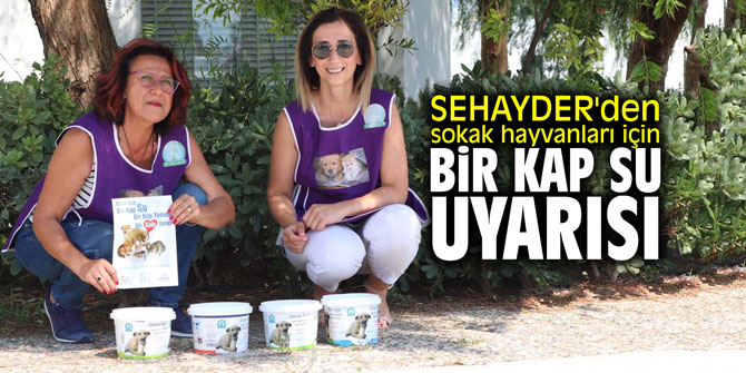 SEHAYDER'den sokak hayvanları için bir kap su uyarısı