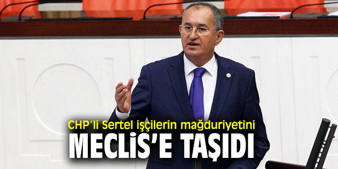 CHP’li Sertel orman işçilerinin sorunlarını TBMM'ye taşıdı