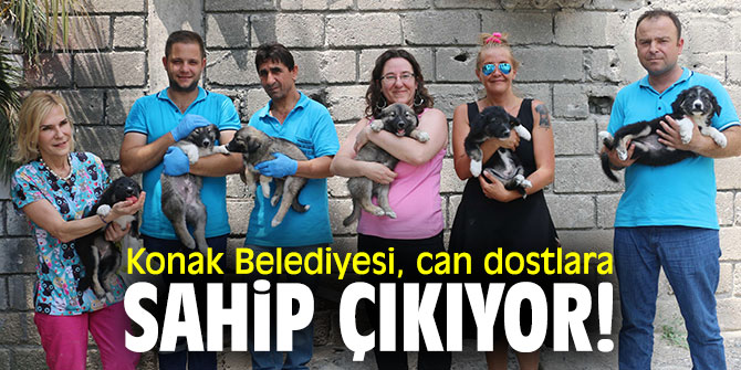 Konak Belediyesi, can dostlara sahip çıkıyor!