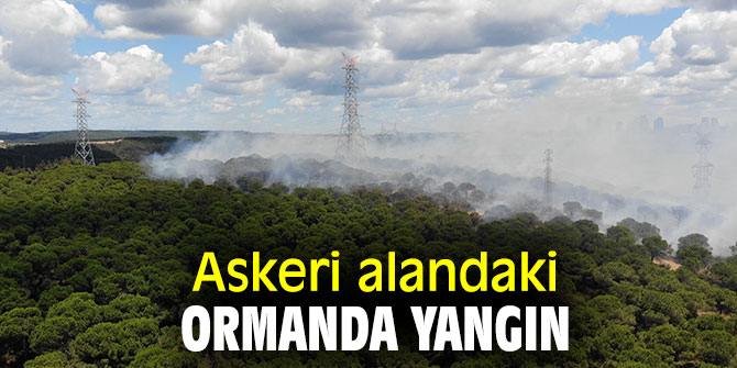 Askeri alandaki ormanda yangın
