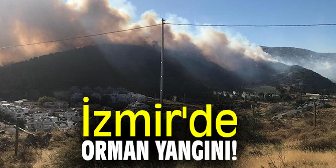 İzmir'de orman yangını!