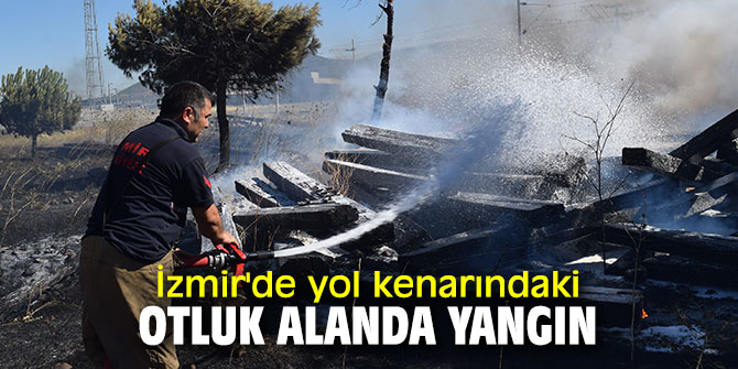 İzmir'de yol kenarındaki otluk alanda yangın