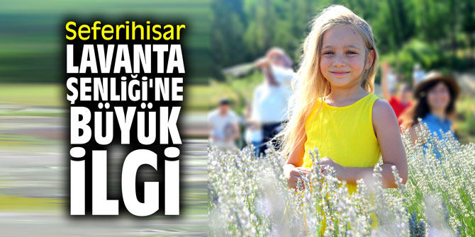 Seferihisar Lavanta Şenliği'ne büyük ilgi