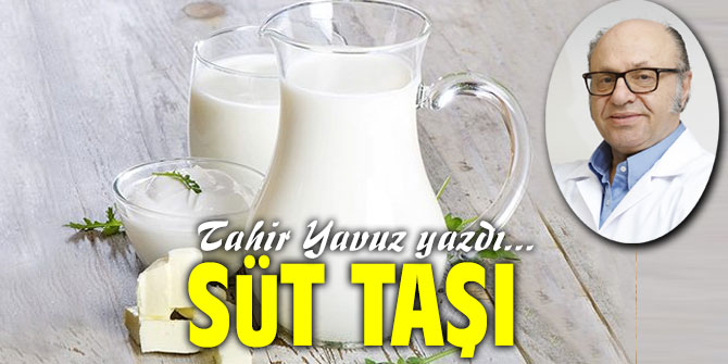 SÜT TAŞI﻿