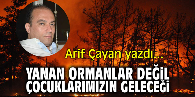 "Yanan ormanlar değil çocuklarımızın geleceği!" Arif Çayan yazdı...