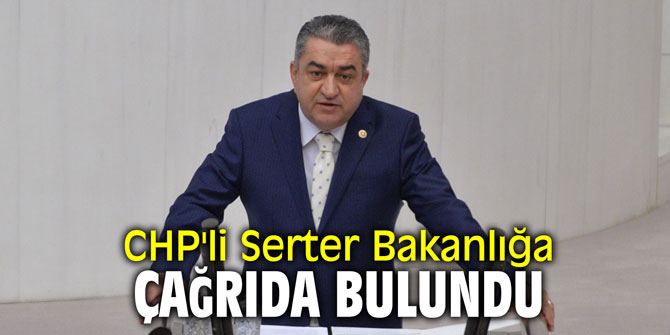 CHP'li Serter Bakanlığa çağrıda bulundu