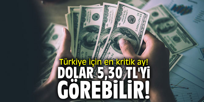 Türkiye için en kritik ay! Dolar 5,30 TL'yi görebilir!