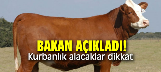 Bakan açıkladı! Kurbanlık alacaklar dikkat!