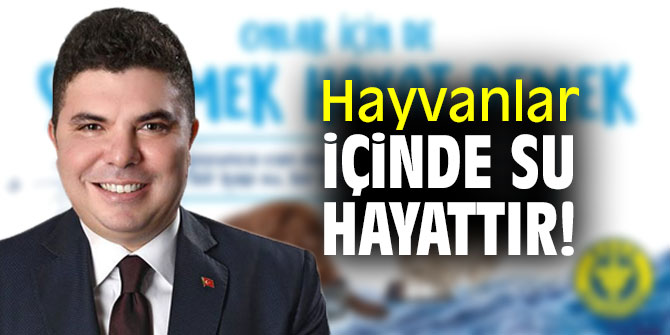 Hayvanlar İçinde Su Hayattır!