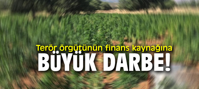 Terör örgütünün finans kaynağına büyük darbe!