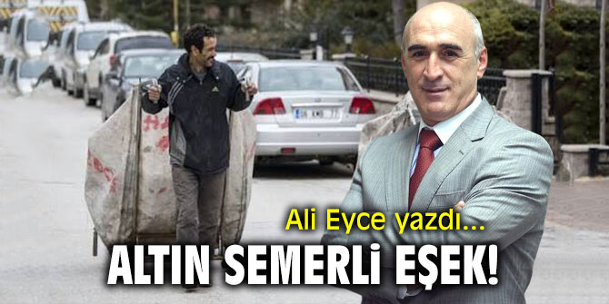 Altın semerli eşek! Ali Eyce yazdı...