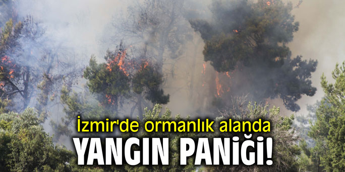İzmir'de ormanlık alanda yangın paniği!